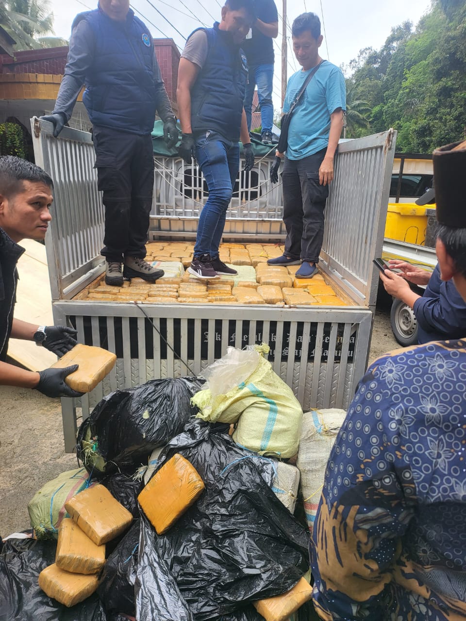 BNN Propinsi Sumatera Barat Berhasil Menyita Sebanyak 500 kilogram Ganja Kering 