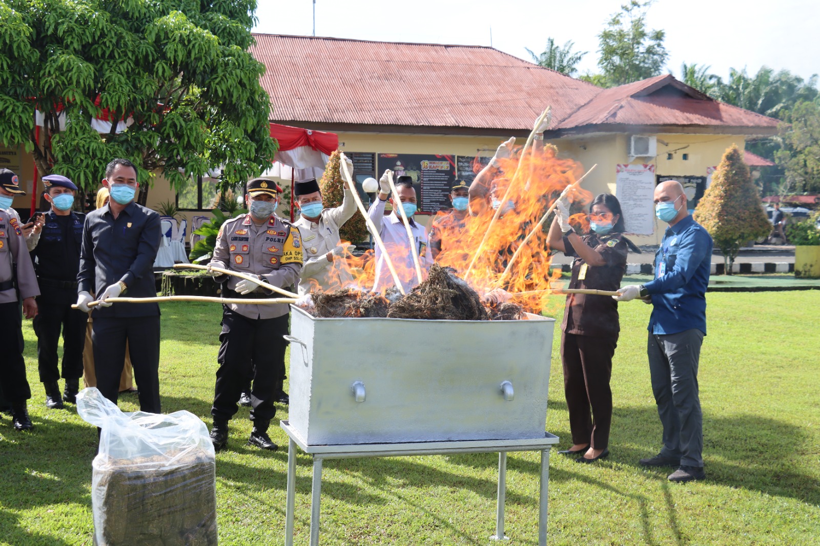 Bersama Forkopimda, Polres Pasaman Barat Musnahkan Barang Bukti Narkotika Jenis Ganja