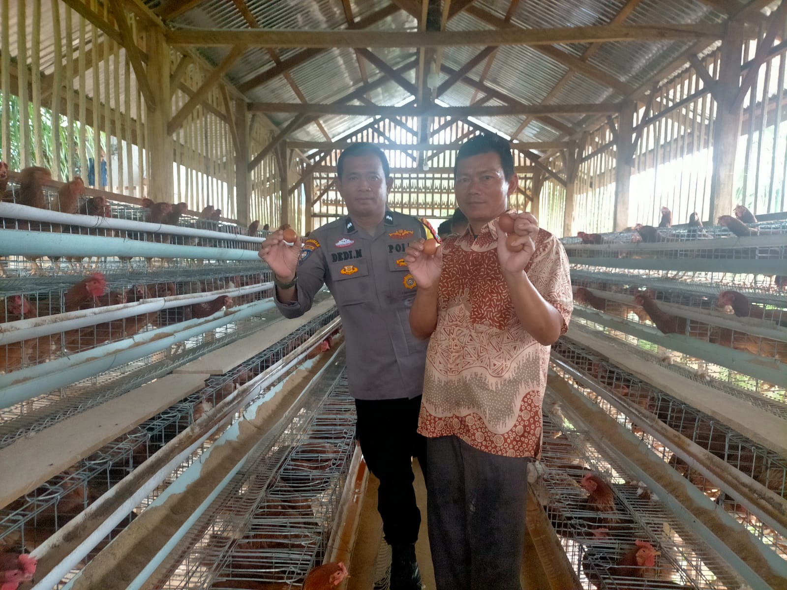 Polsek Pasaman Sambangi Kelompok Peternak Ayam Petelur di Nagari Aia Gadang Barat Dalam Program Ketahanan Pangan